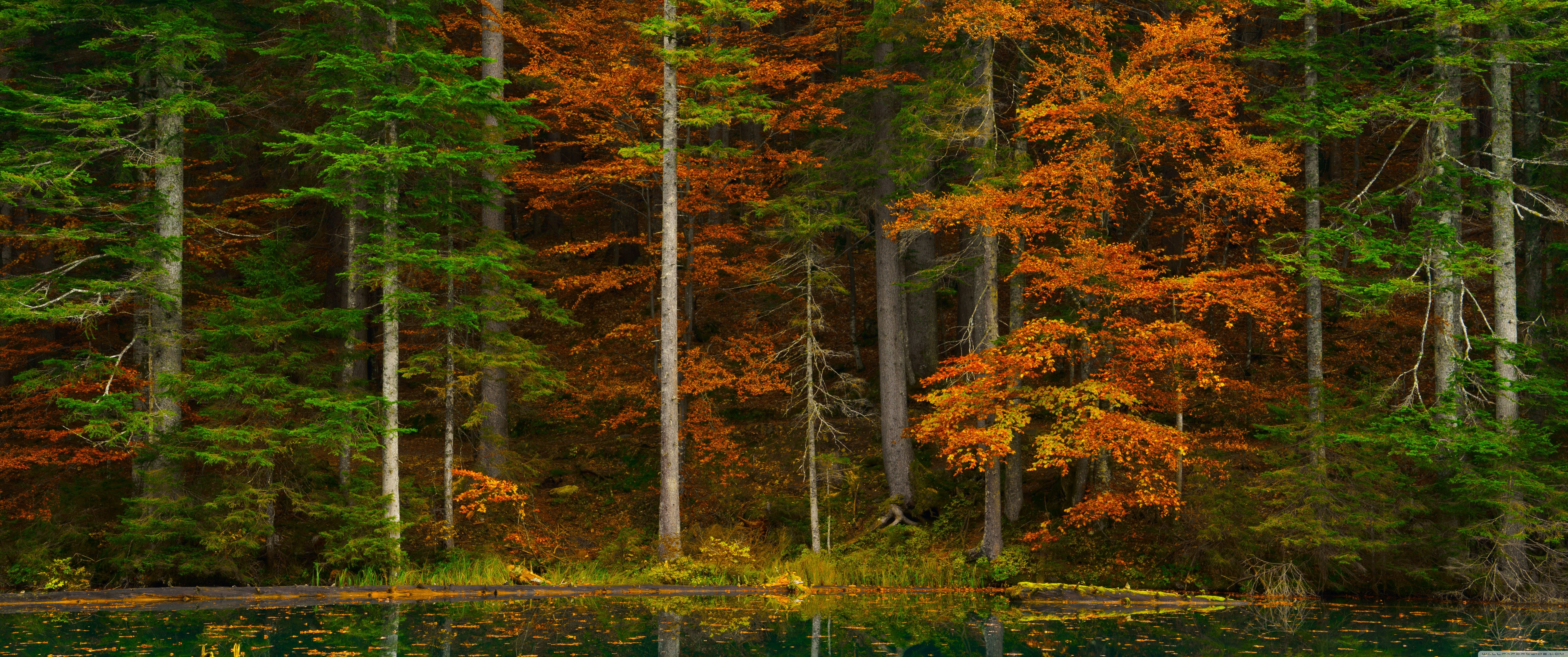 6880x2880 6880x2880 UltraWide 21:9 High Quality Desktop Wallpaper for UltraHD TV, Smartphone, Tablet