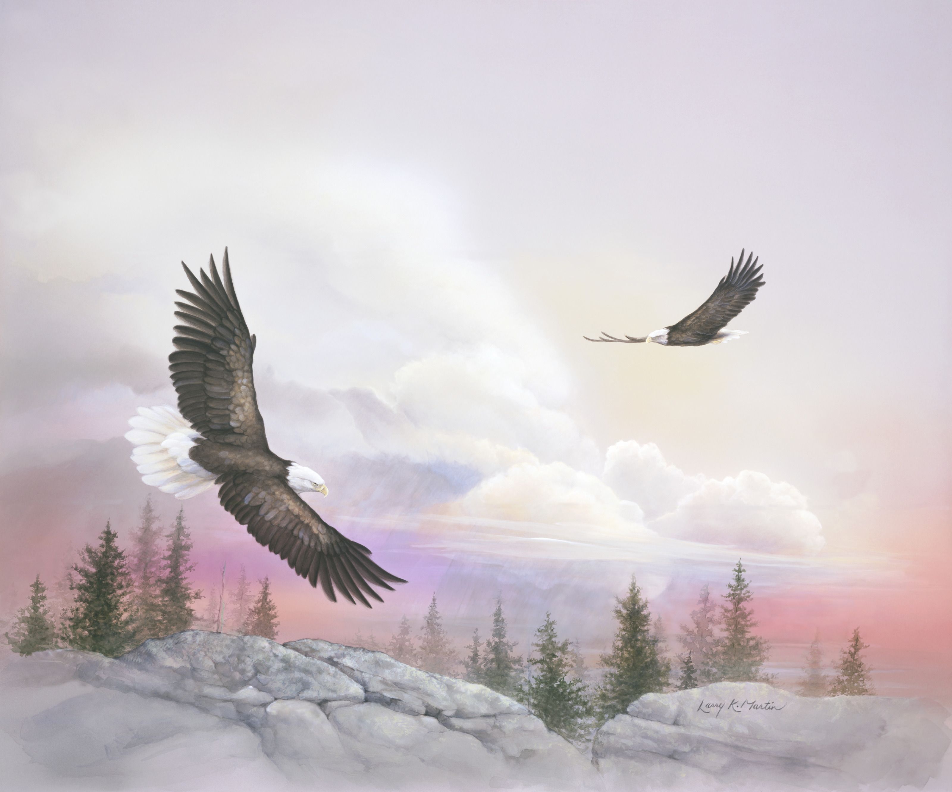 3200x2661 Soaring With Eagles Wall Mural