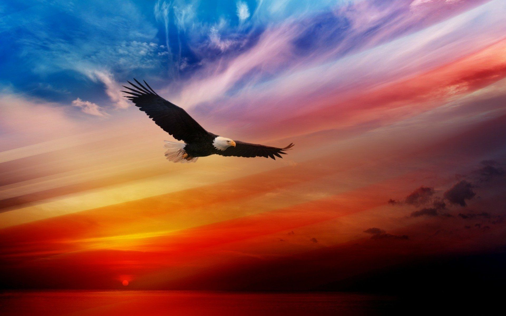 1920x1200 Sunset Soar: Bald Eagle HD Wallpaperx1200