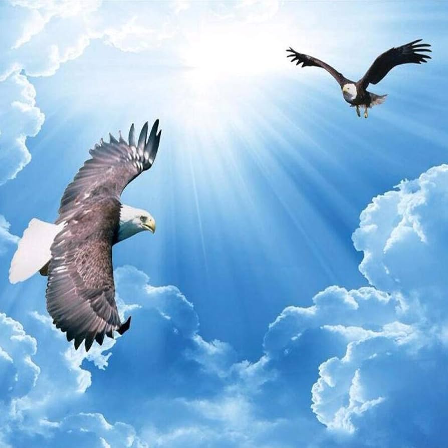 894x894 3D Lifelike Animals Eagle Flying In The Sky Wall Mural Photo Wallpaper For Kids Study Room 3D Non Woven Sofa Backdrop Wall Paper, 430(W)*300(H)Cm, Wallpaper