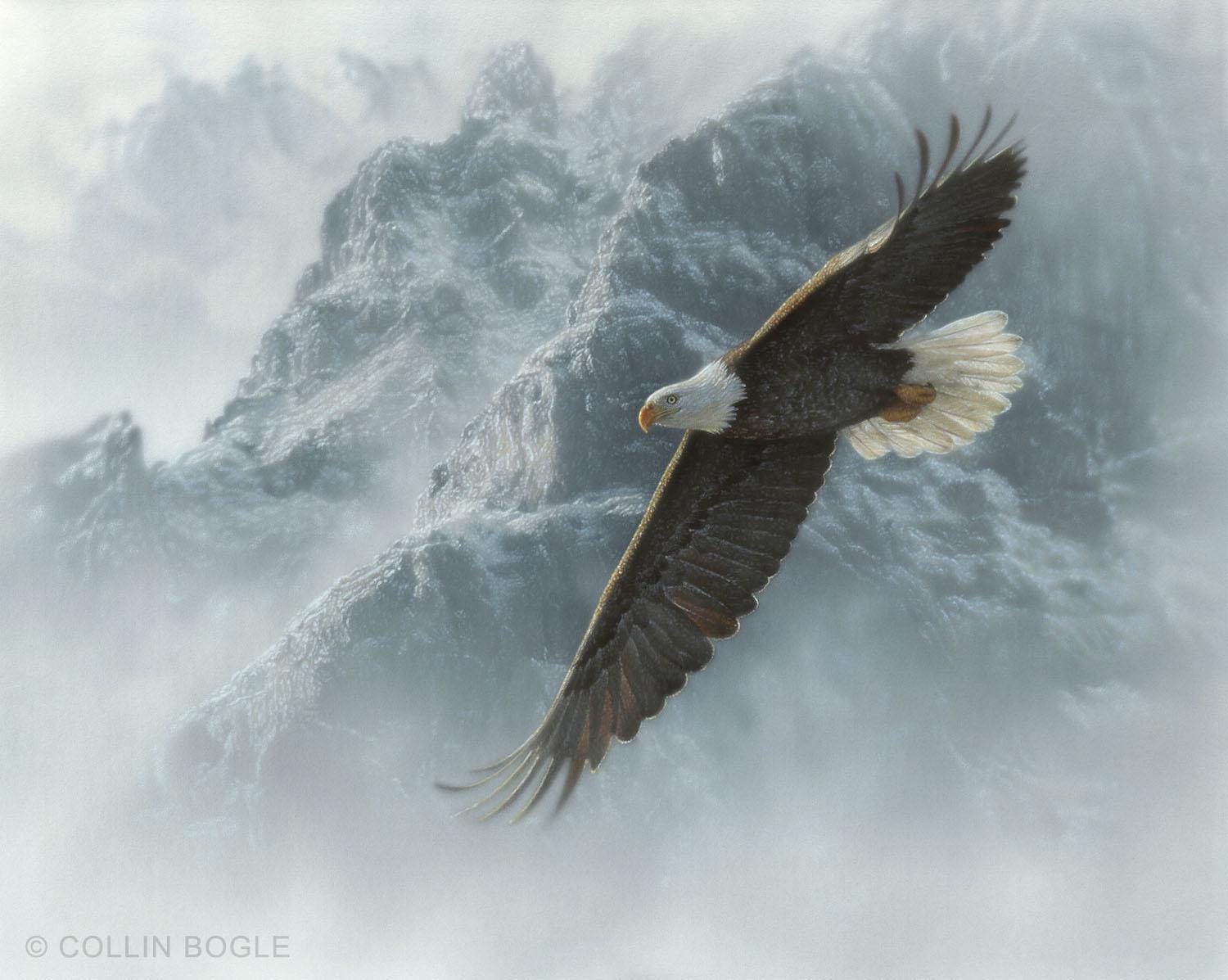 1500x1197 Bald Eagle Painting, Eagle Flying Print, Bird Wall Art, Winter Cabin Decor, Wildlife Artwork, Nature Canvas, Artist Collin Bogle
