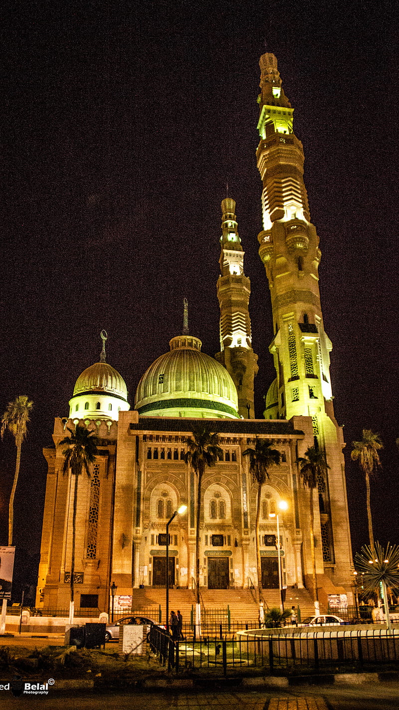 800x1423 HD portsaid wallpaper
