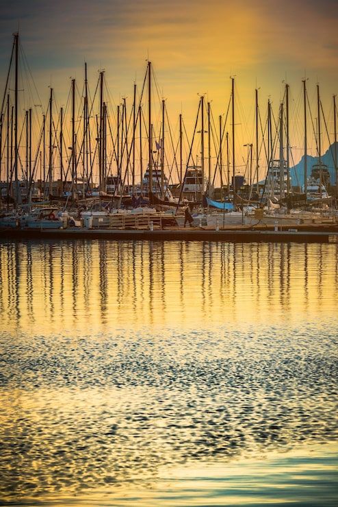 494x740 Port said Image