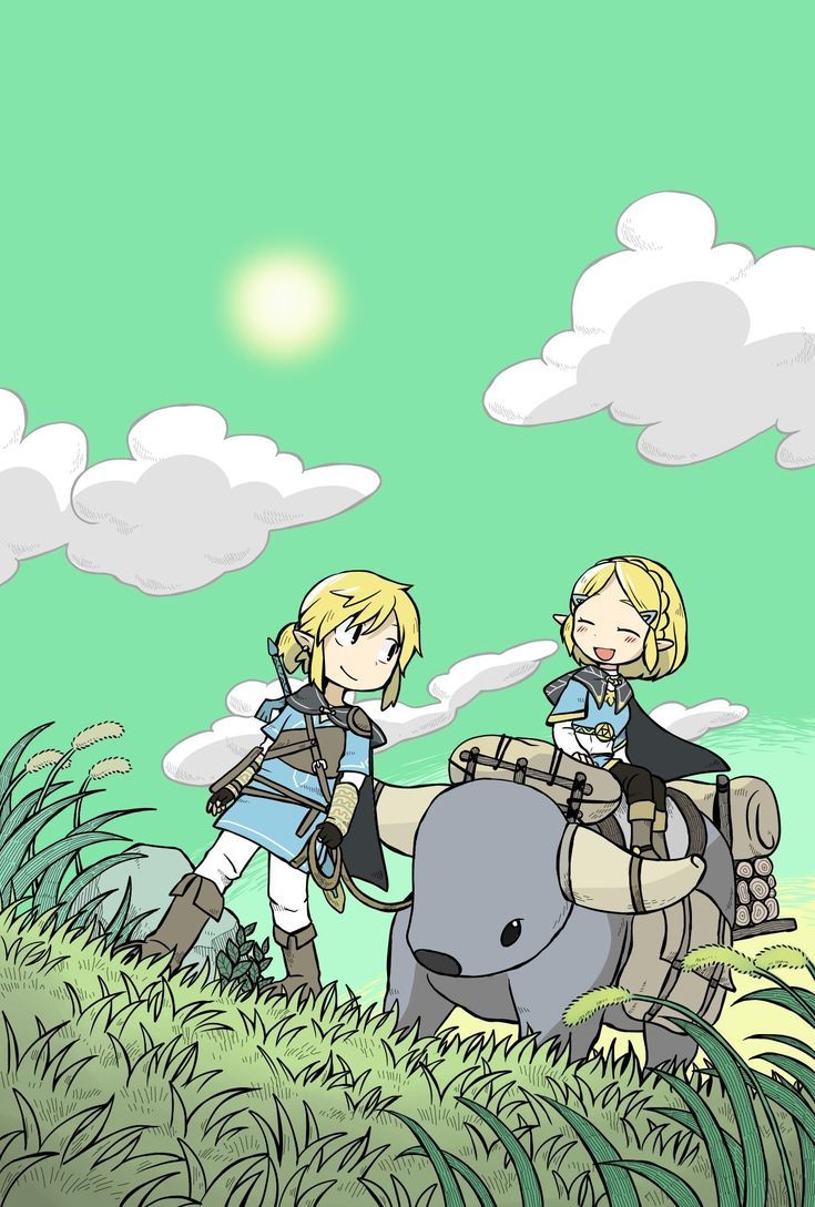 735x1089 Legend of Zelda Breath of the Wild sequel art > Link and Princess Zelda > botw 2