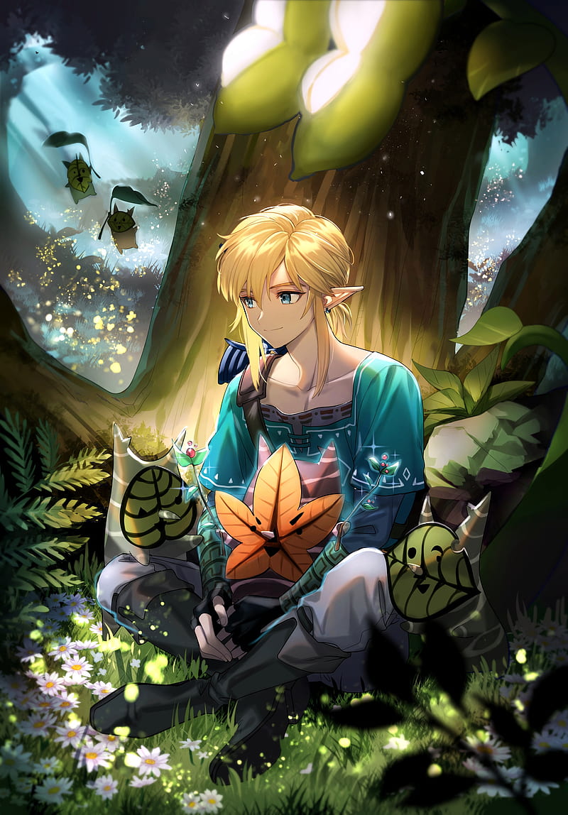 800x1148 The legend of zelda, anime, game, link, nintendo, theme, zelda, HD phone wallpaper