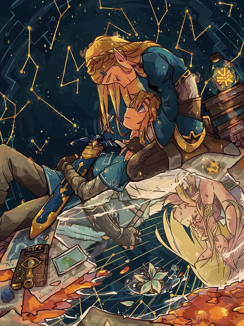 800x1067 Legend of zelda, link, romance, videogame, HD phone wallpaper