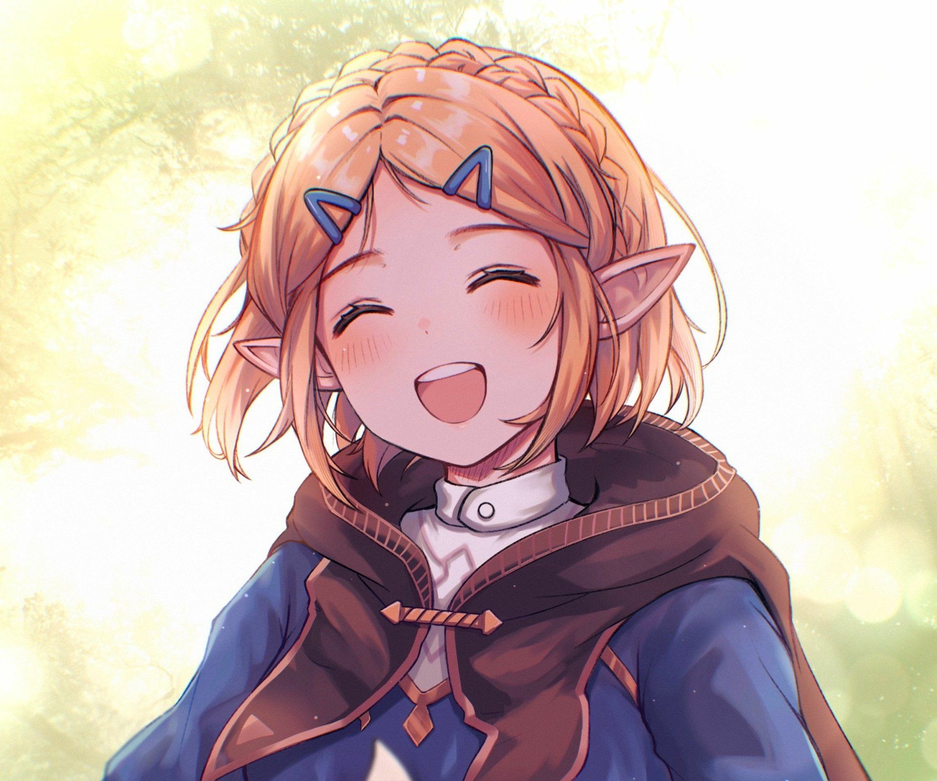 1920x1600 Princess Zelda Smiles Bright of the Wild HD Wallpaperx1907