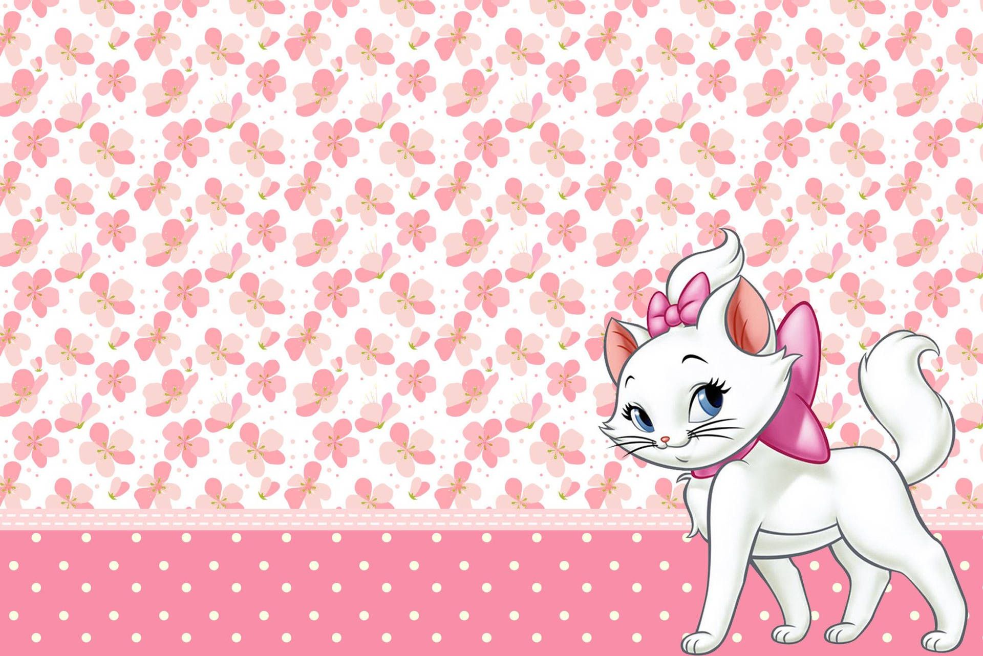 1920x1282 Marie Cat Picture