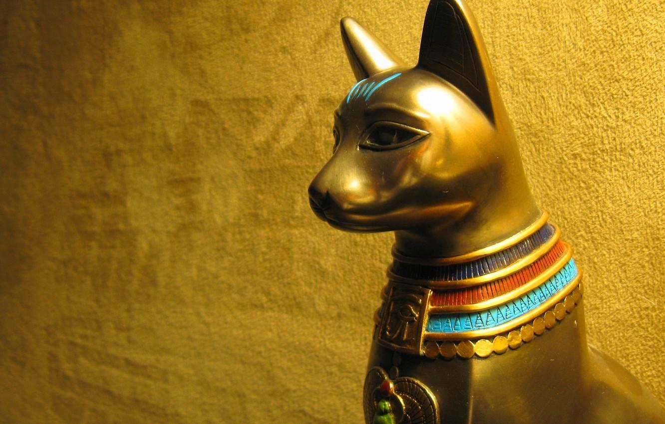 1332x850 Egypt Cat Wallpaper