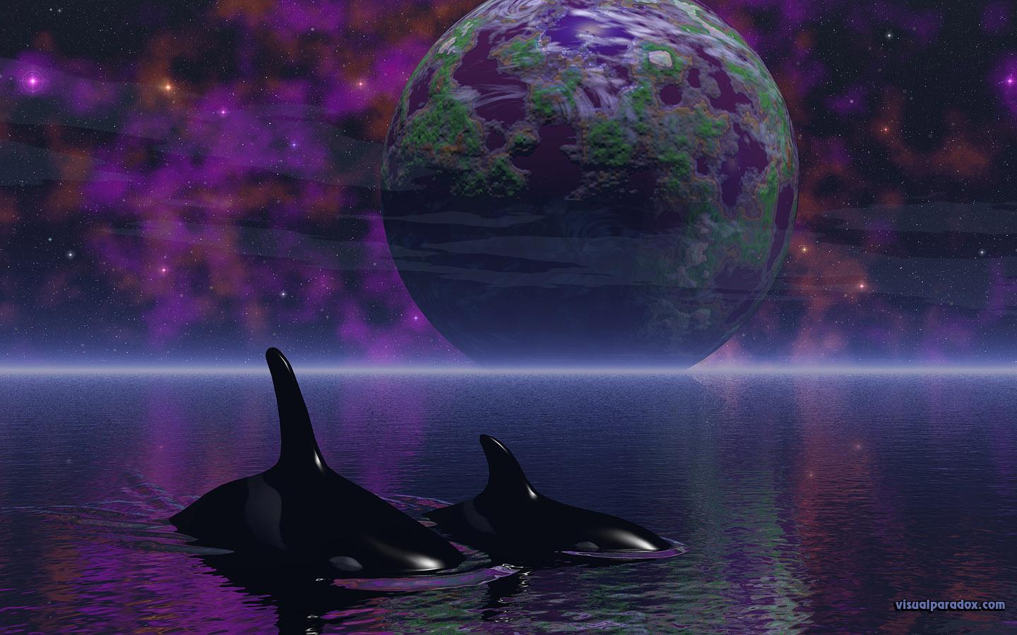 1440x900 Free 3D Wallpaper 'Orcas' Dream' 1440x900 Wide Screen