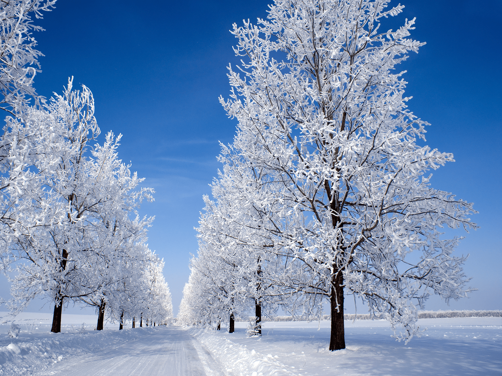 1600x1200 Snow Wallpaper. Winter snow wallpaper, Winter scenes