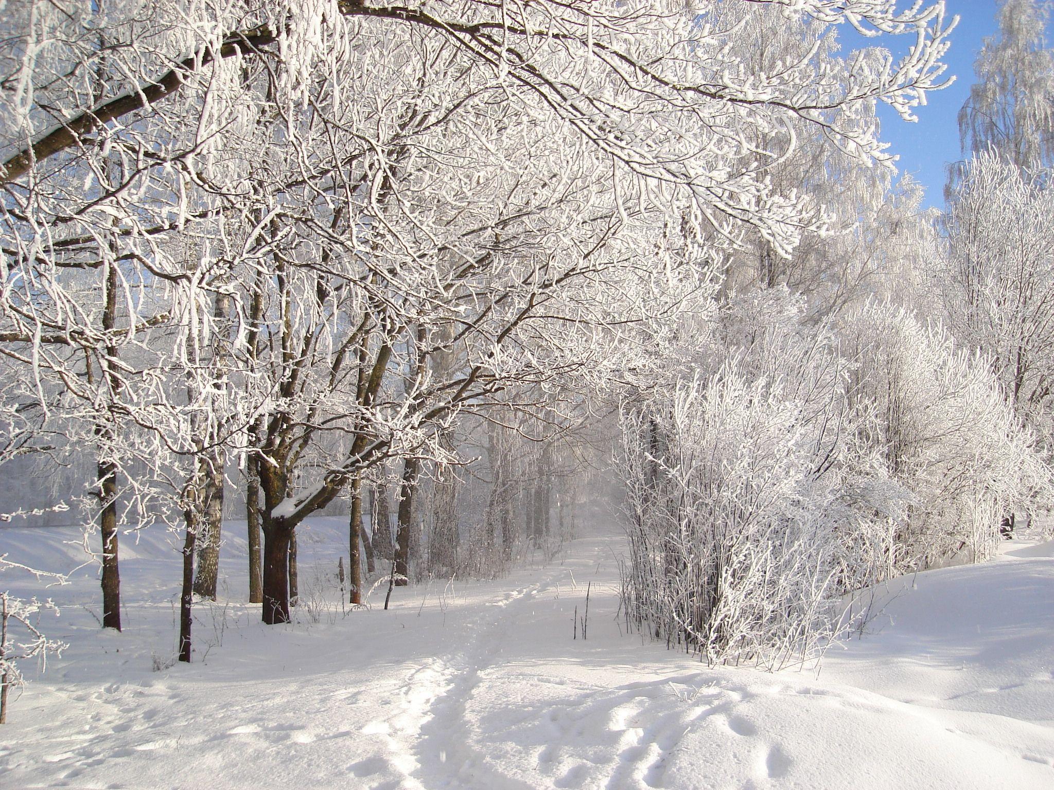 2048x1536 Snow in the Latvian country side. Winter wallpaper, Winter wonder