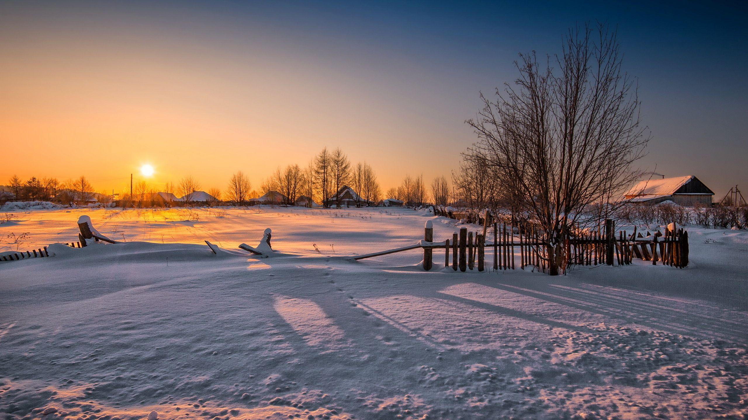 2560x1440 landscape, trees, sunset, snow, cottages, Sun wallpaper