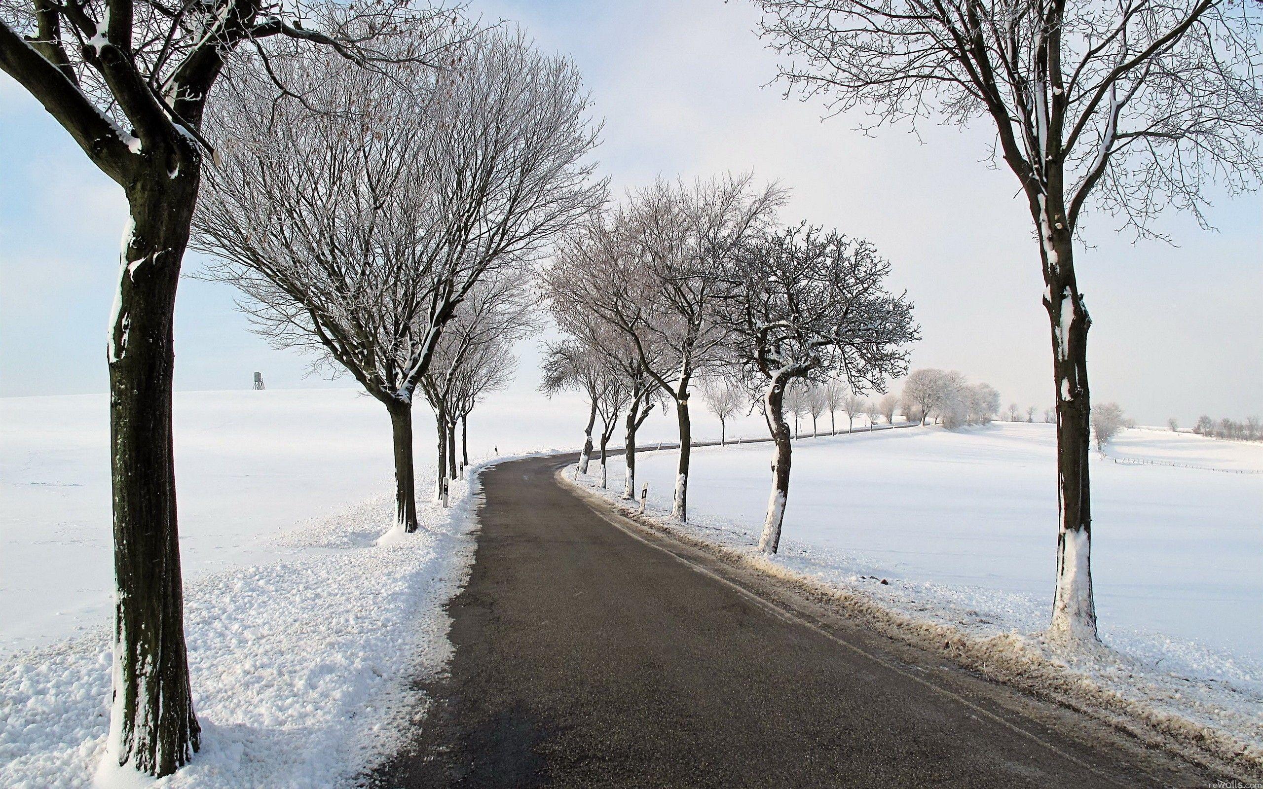 2560x1600 Country Road Snow Fields Trees wallpaper. Country Road Snow
