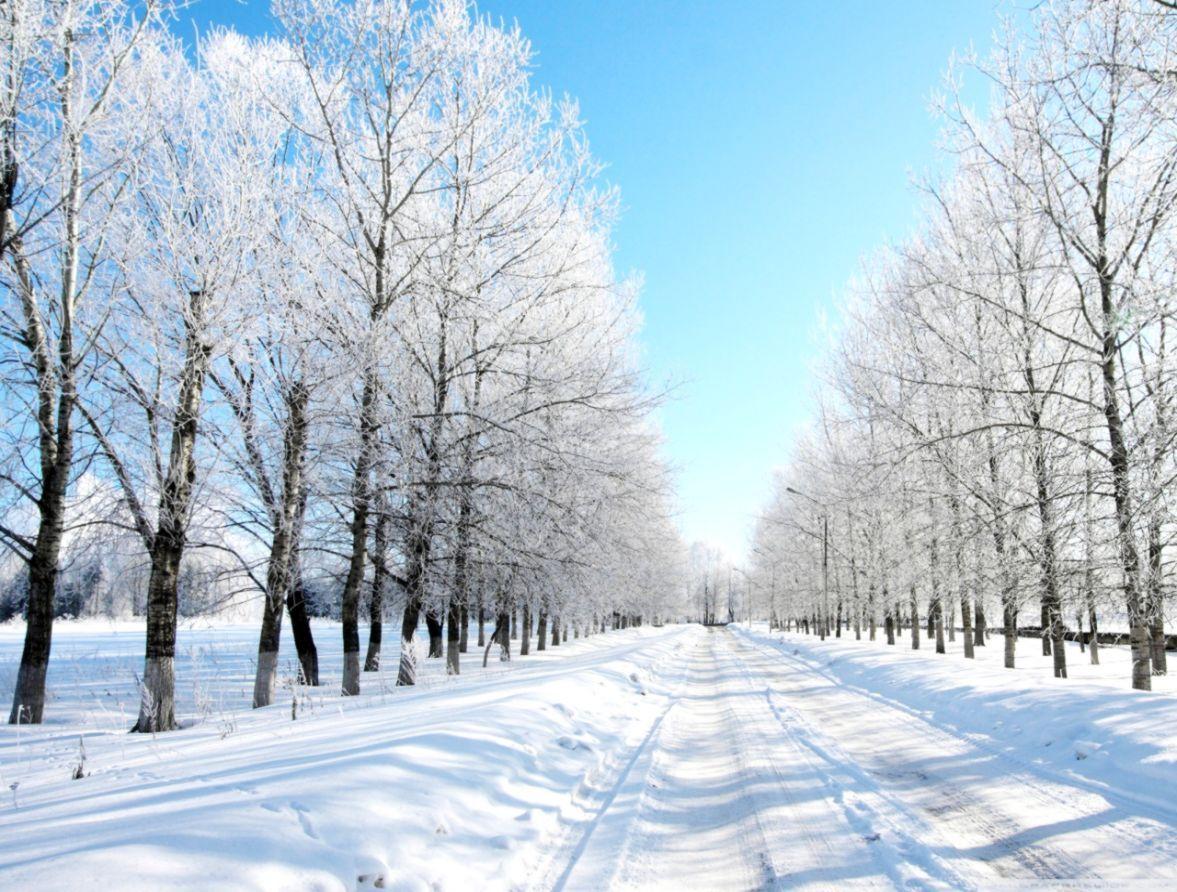 1177x892 Snowing HD Wallpaper
