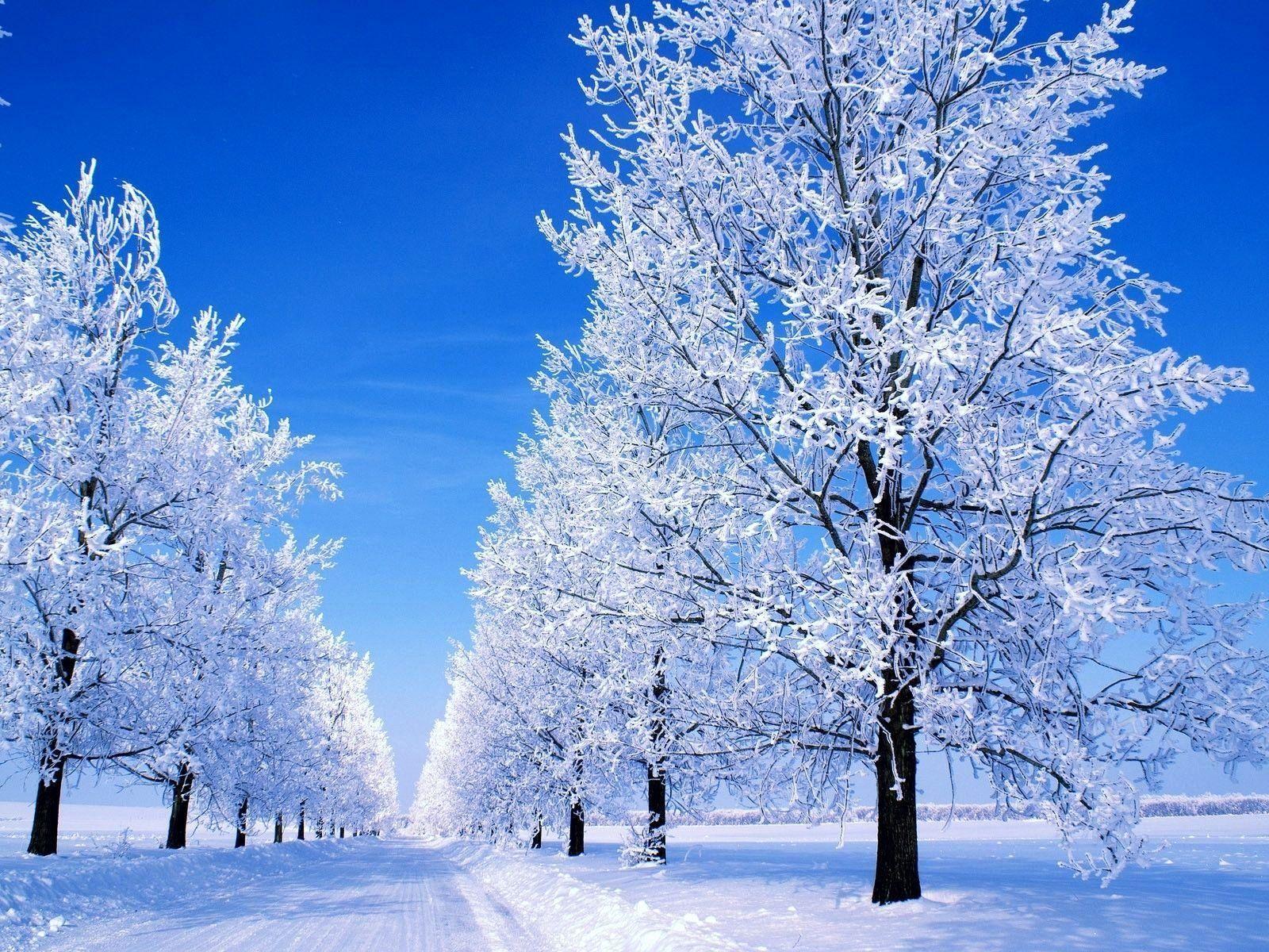 1600x1200 Snow Scenery Wallpaper New Snowy Scene Wallpaper