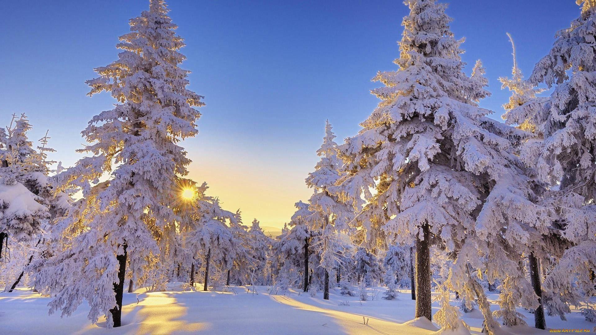 1920x1080 Winter Nature Scenes Wallpaper