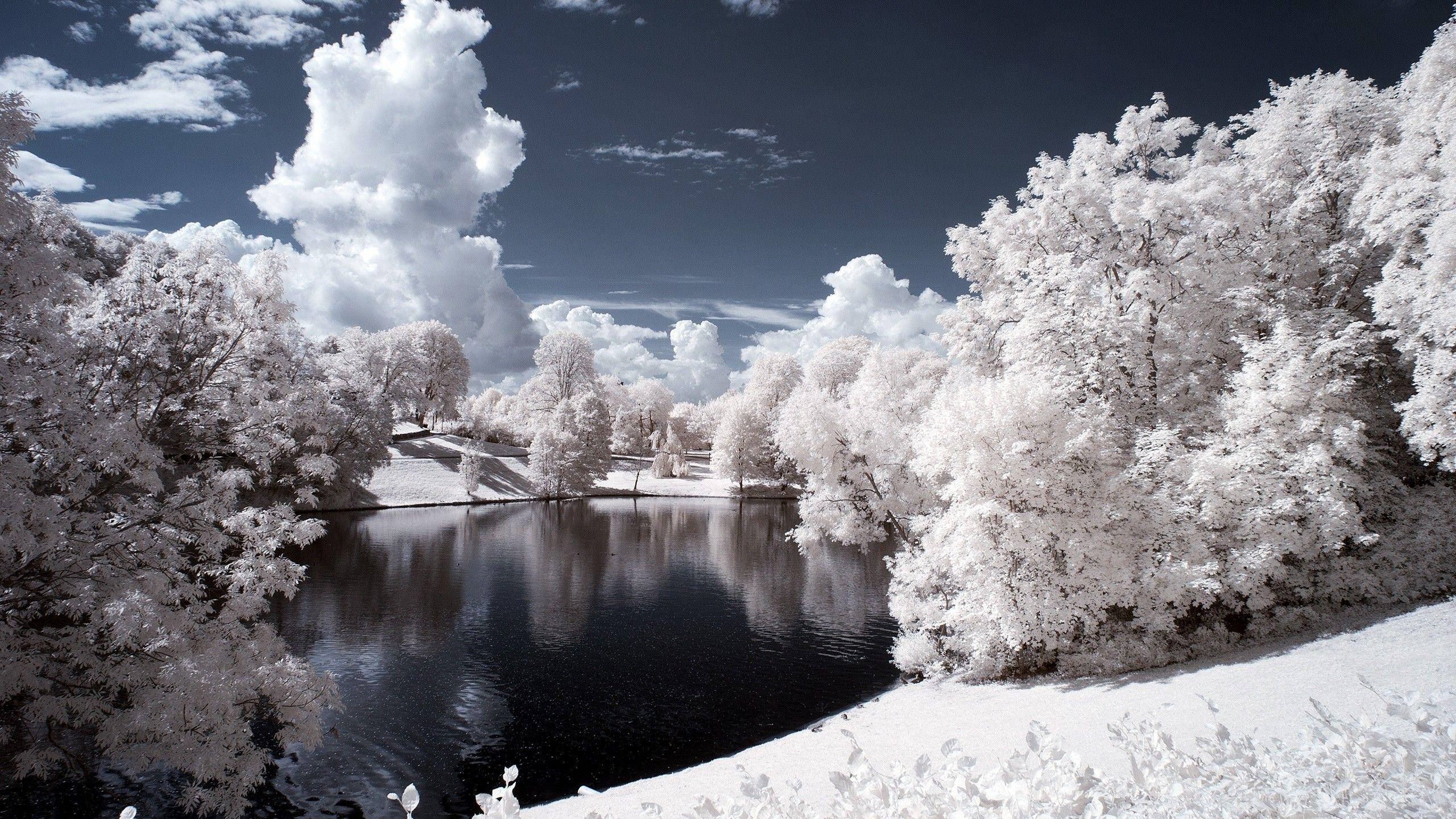 2560x1440 Free download Beautiful Snow Wallpaper High Definition