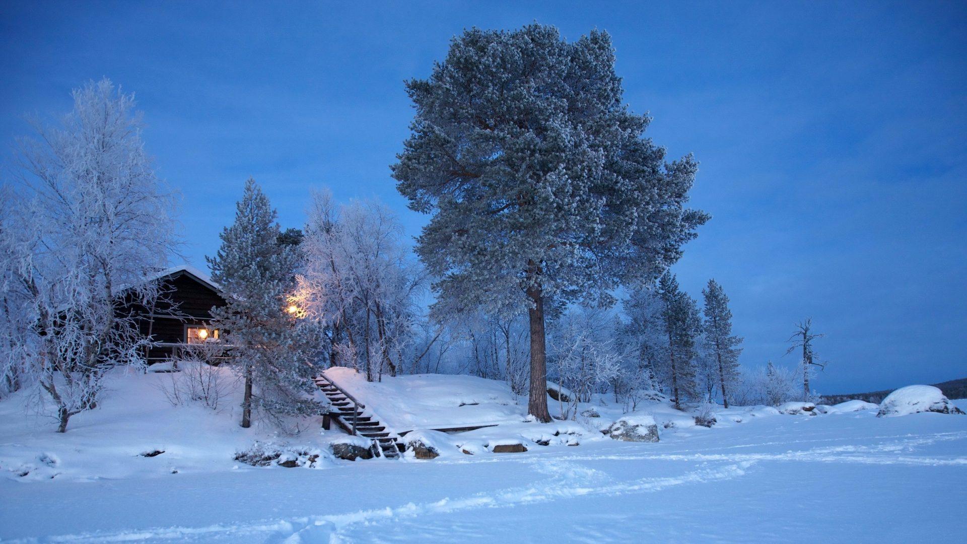 1920x1080 Country Winter Greens Wallpaper