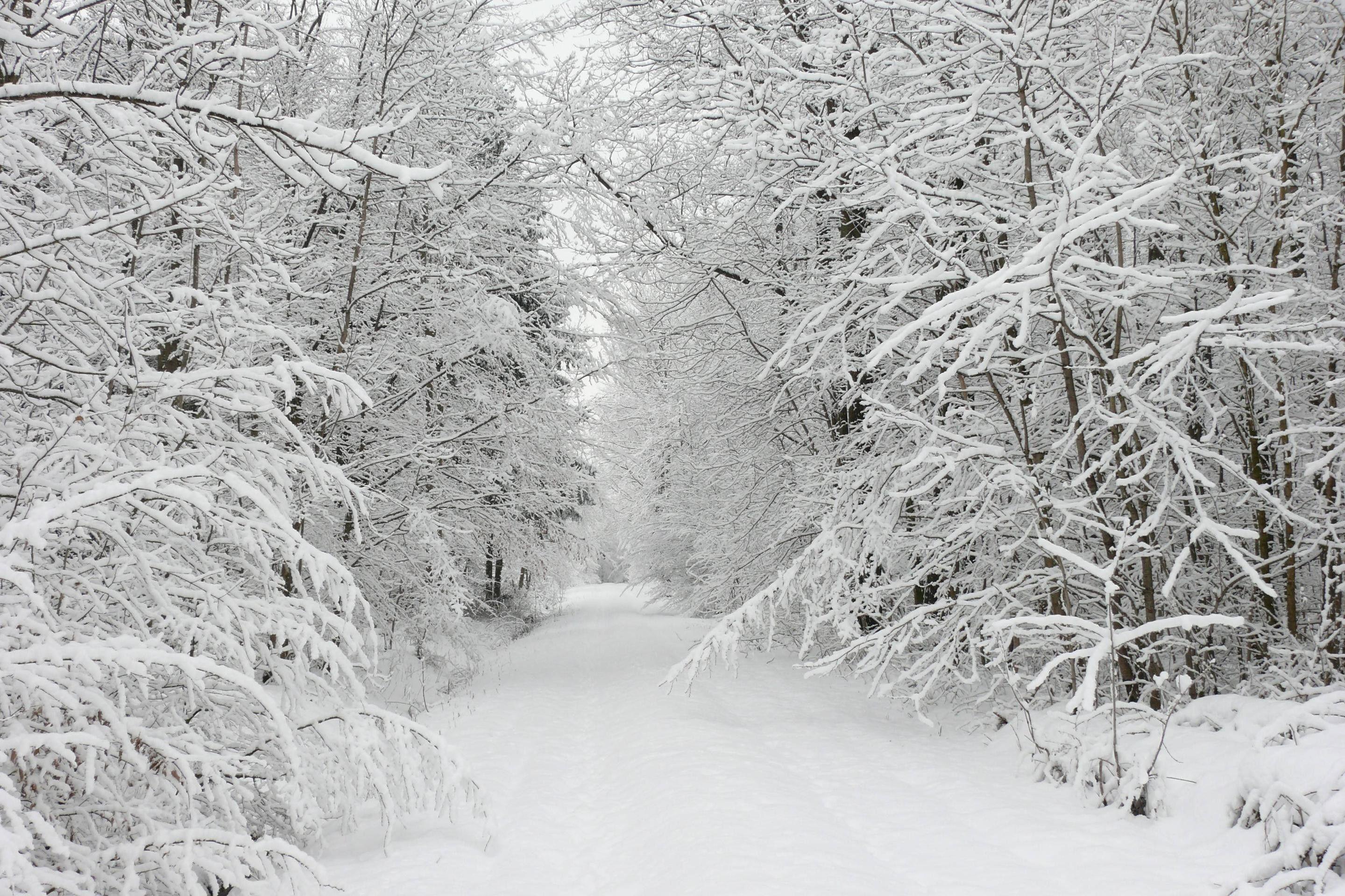 2880x1920 Snowy Picture Wallpaper