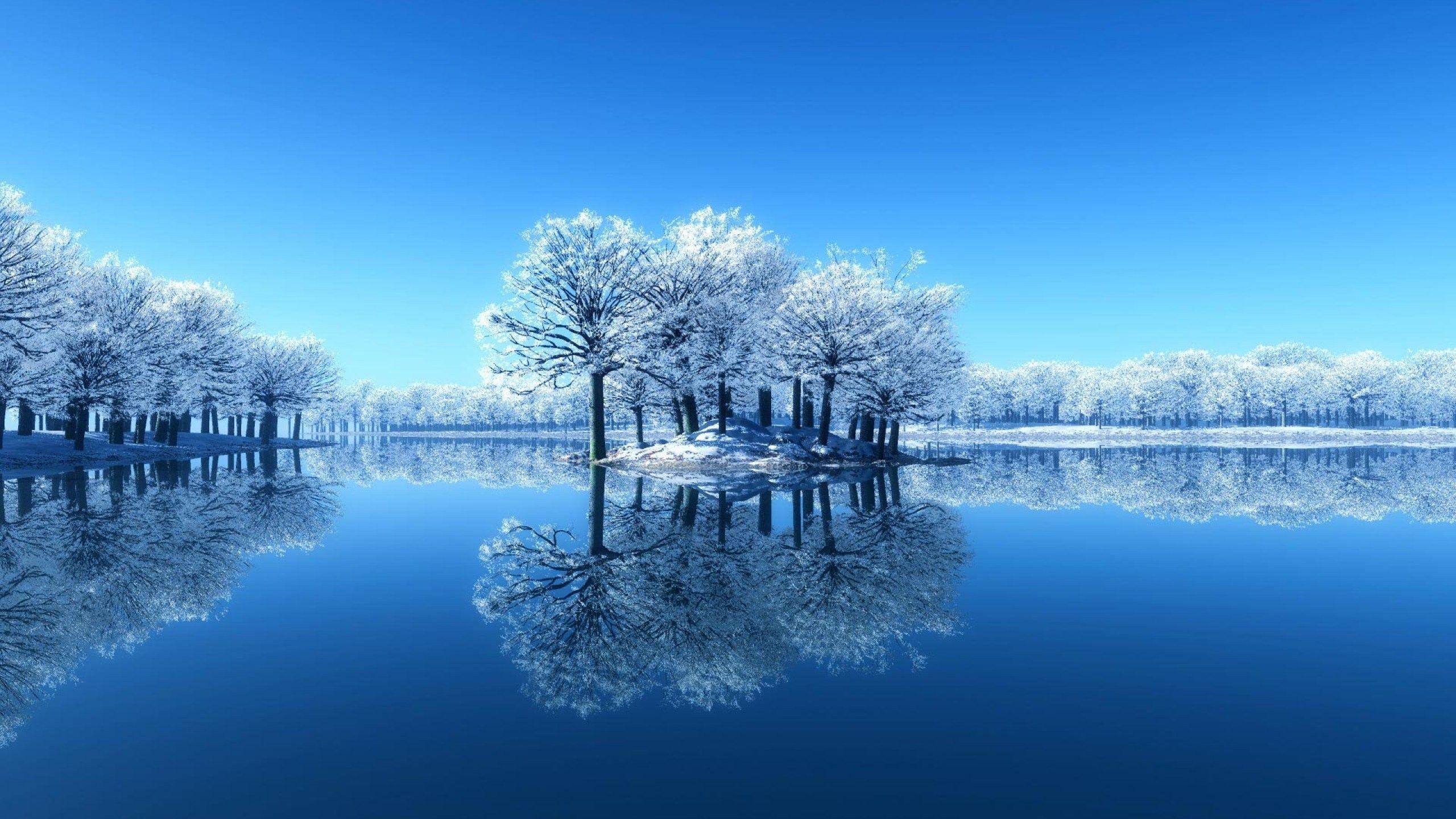 2560x1440 Lovely, Beautiful, HD Landscape Wallpaper, HD Wallpaper, Snow
