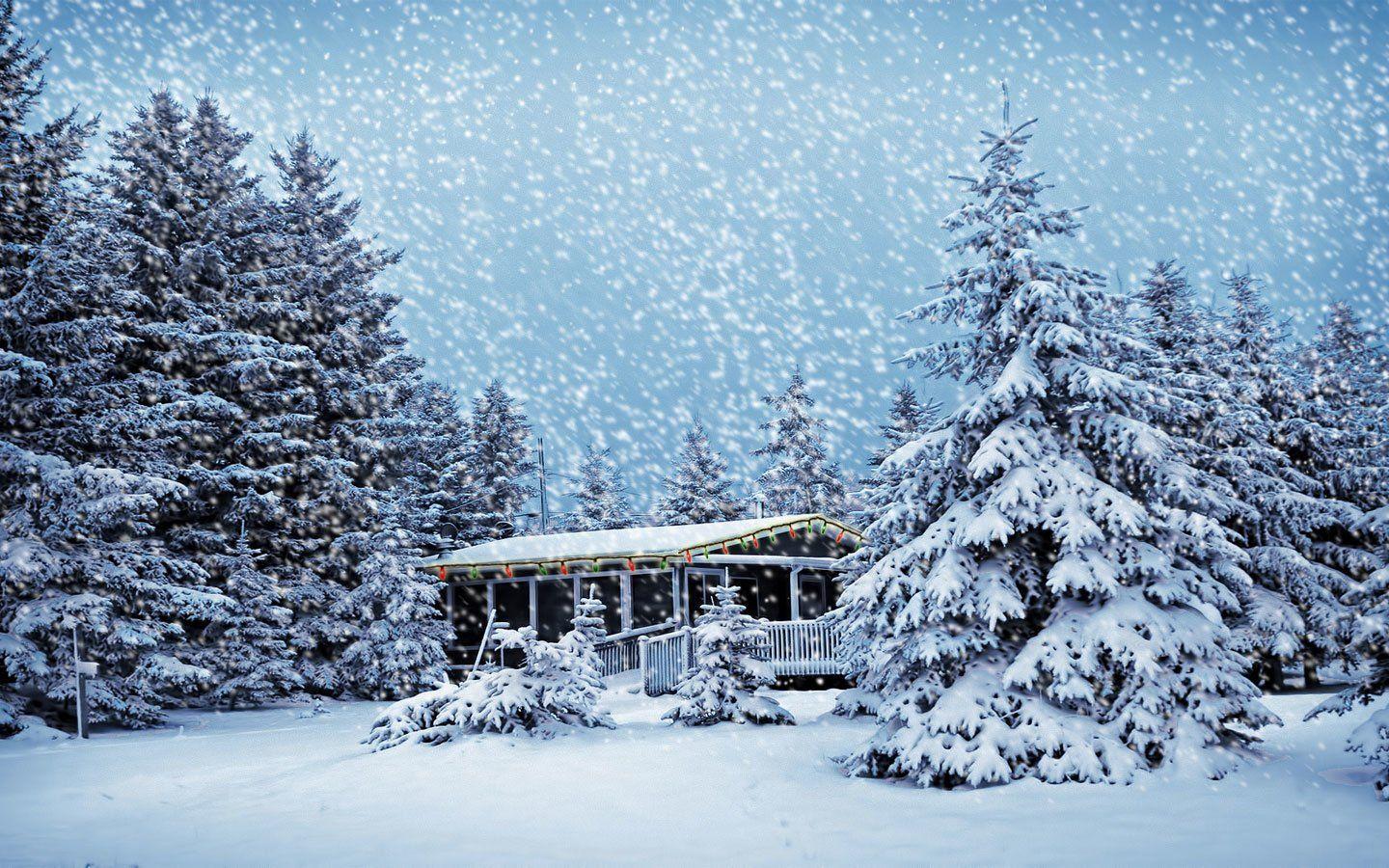 1440x900 Snow Falling on House in Forest Wallpaper
