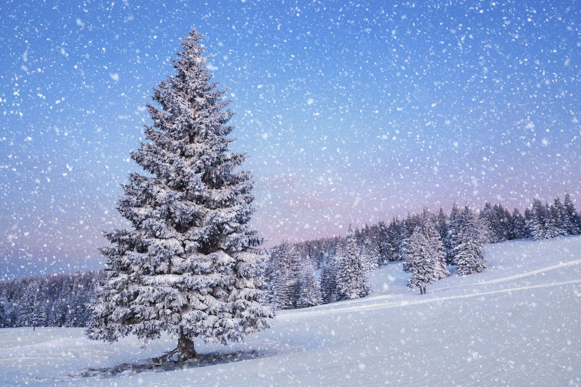 1920x1280 Wallpaper Snowfall