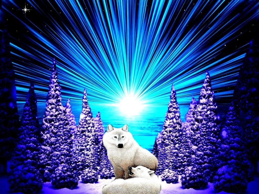 1024x768 Mountains: Wolfs Indian Mountain Nature Wolf Mountains Wallpaper