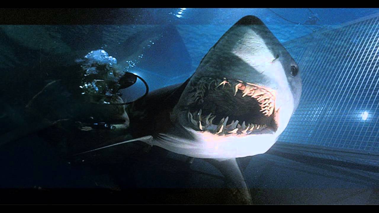 1280x720 Deep Blue Sea wallpaper, Movie, HQ Deep Blue Sea pictureK