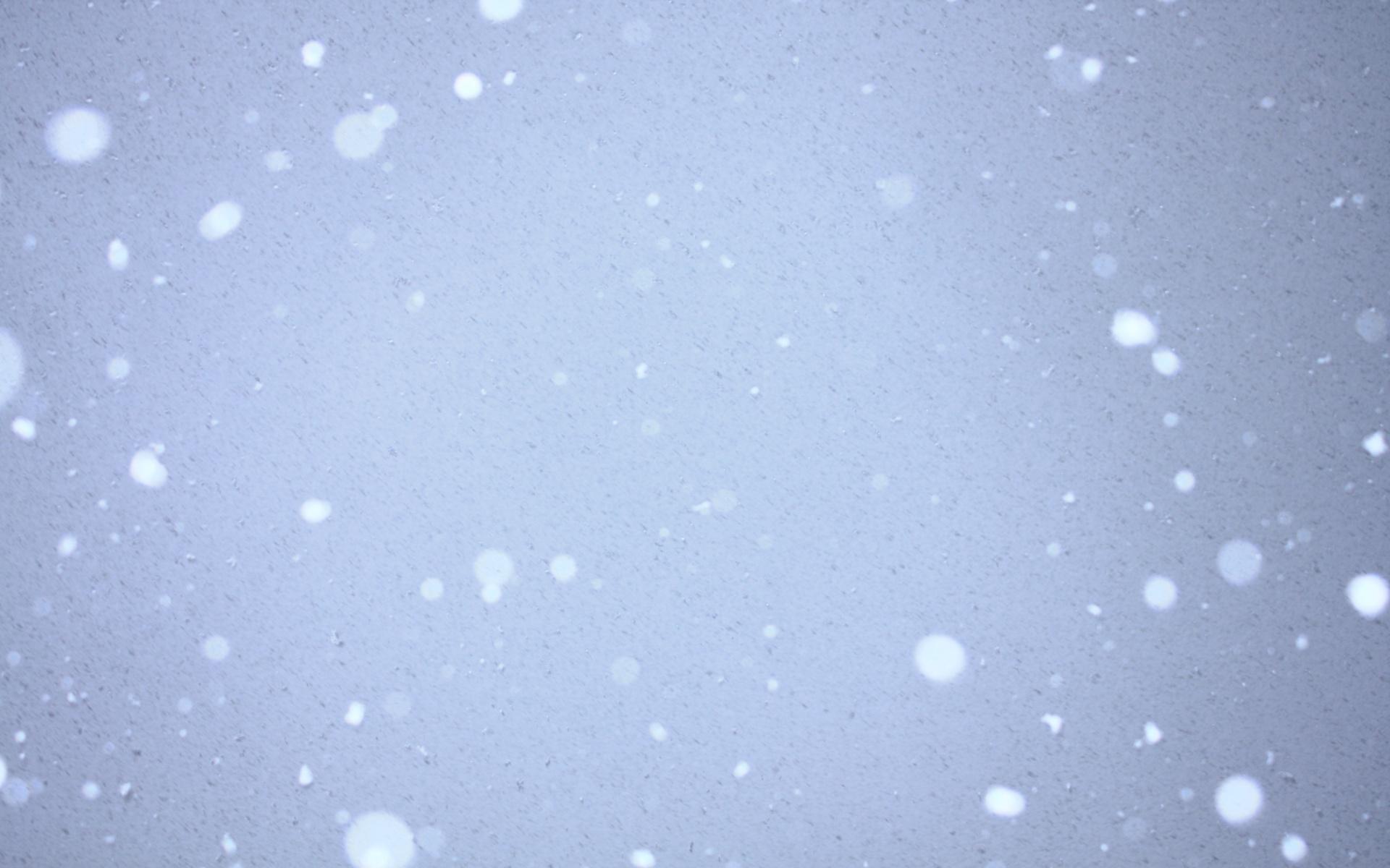 1920x1200 Free Snow Falling Wallpaper (1920x1200)