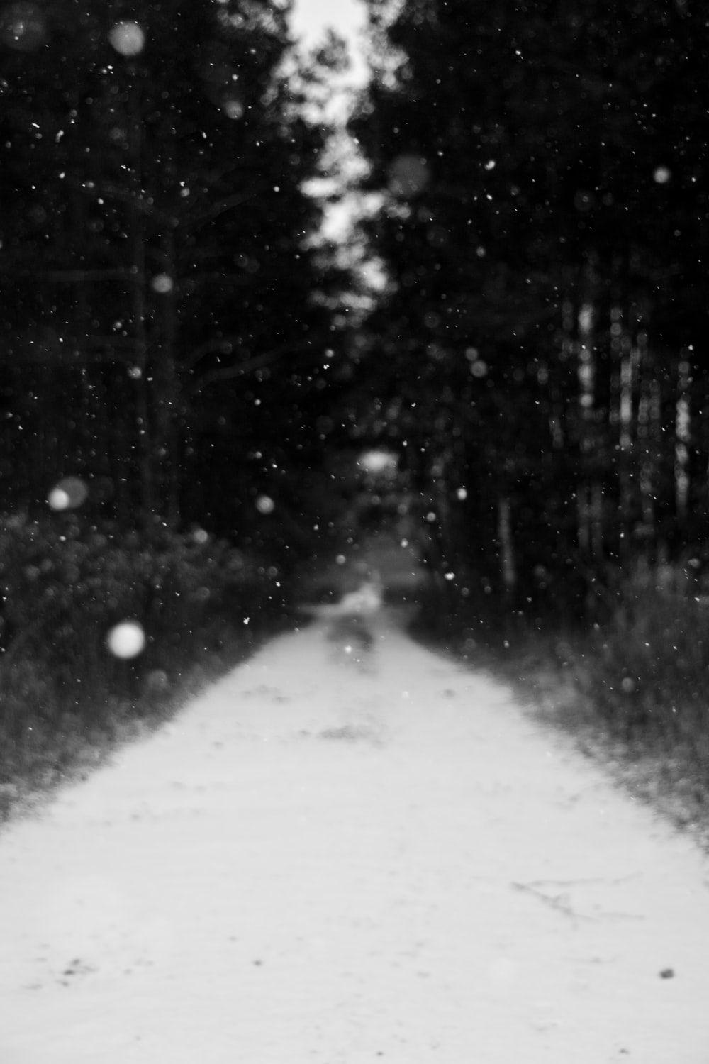 1000x1500 grayscale photo of snow falling photo