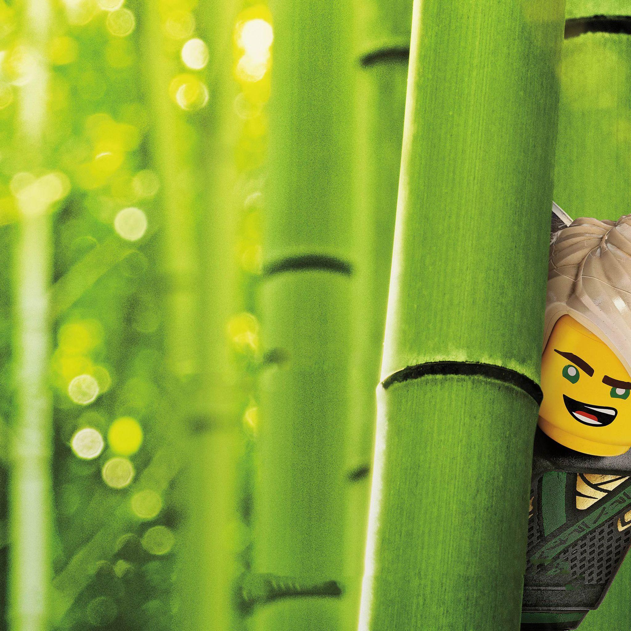 2048x2048 Lloyd The LEGO Ninjago Movie iPad Air HD 4k Wallpaper