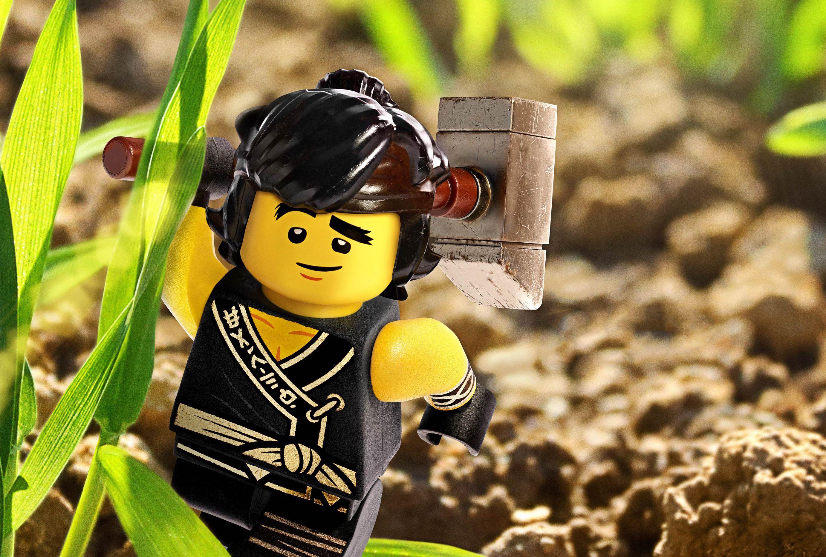 2764x1866 Cole from Kai LEGO Ninjago Movie 1440P Resolution