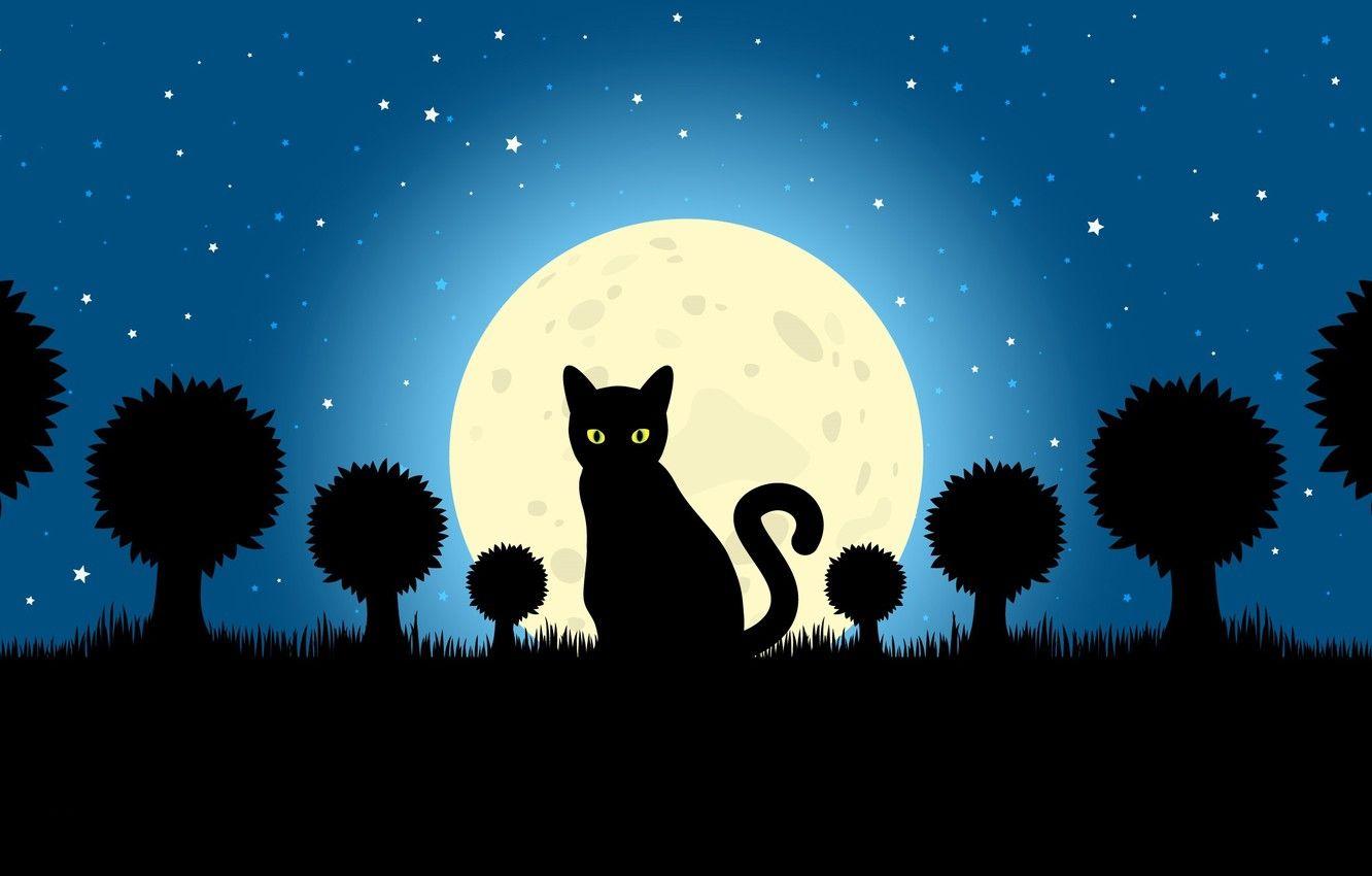 Cat and Moon Wallpapers - Top Free Cat and Moon Backgrounds - WallpaperAccess