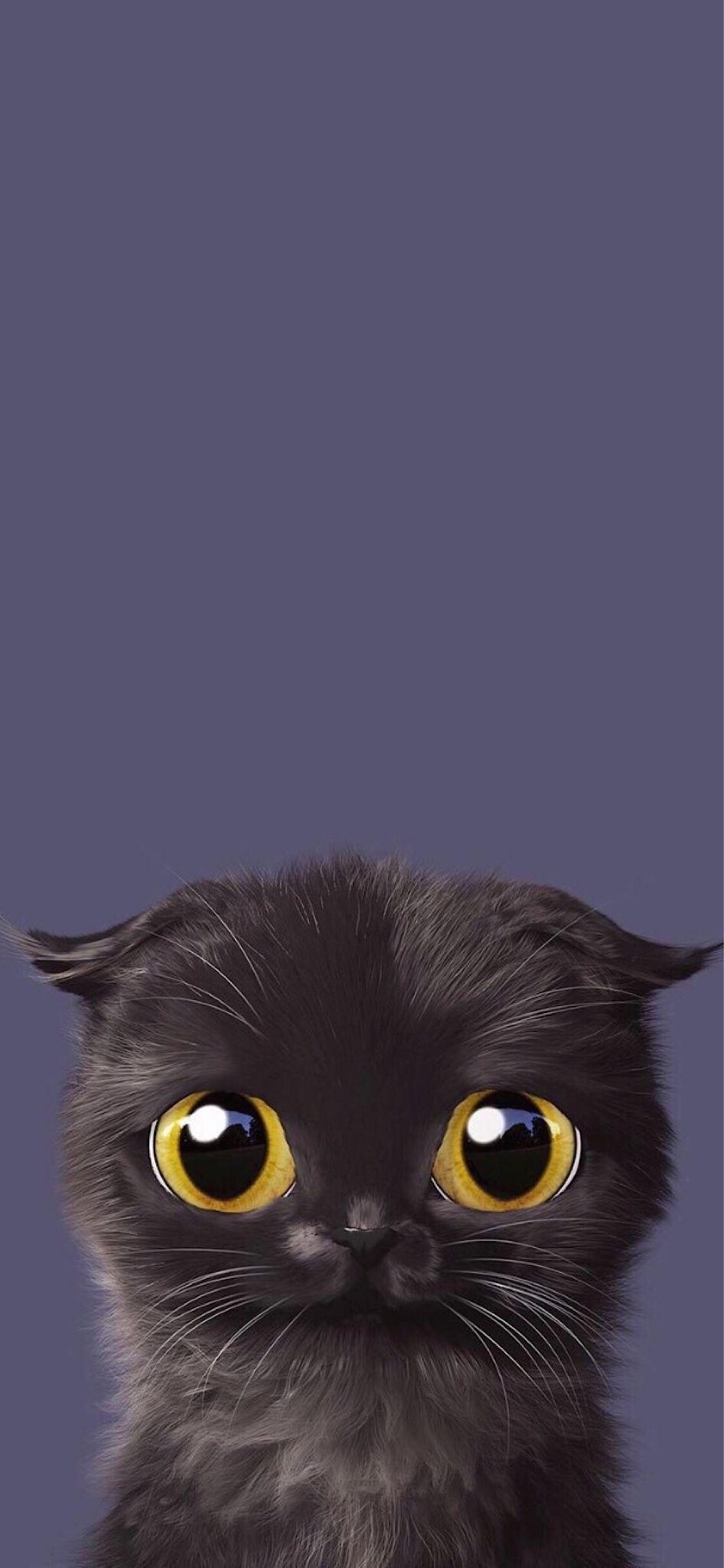 Kawaii Black Cat Wallpapers Top Free Kawaii Black Cat Backgrounds