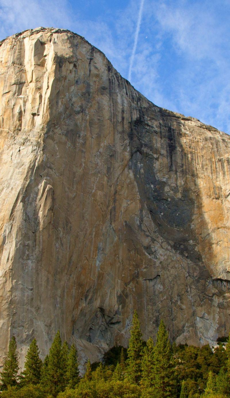 800x1380 Download El Capitan, 5k, 4k wallpaper, Yosemite, HD, forest, OSX