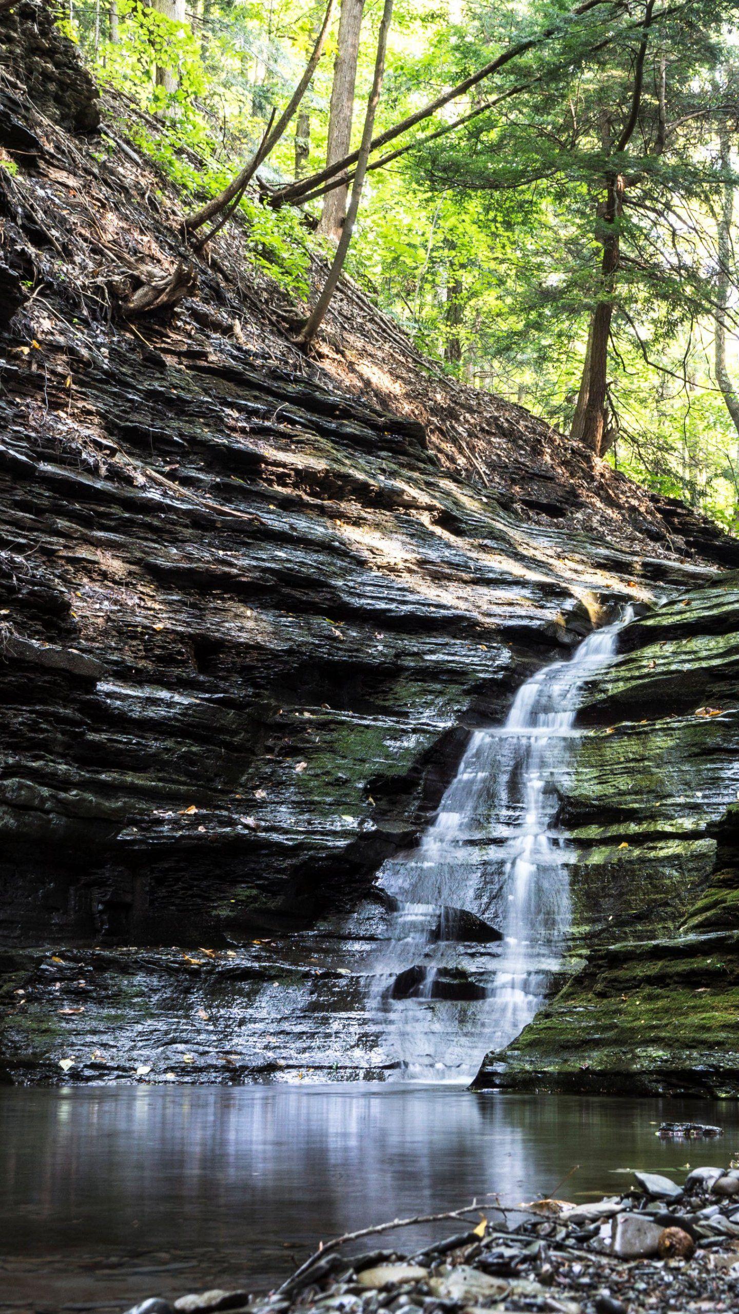 1440x2560 Forest Waterfall Pool Wallpaper, Android & Desktop