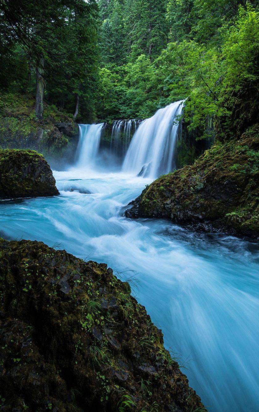 840x1336 Download 840x1336 wallpaper forest, waterfall, river, nature