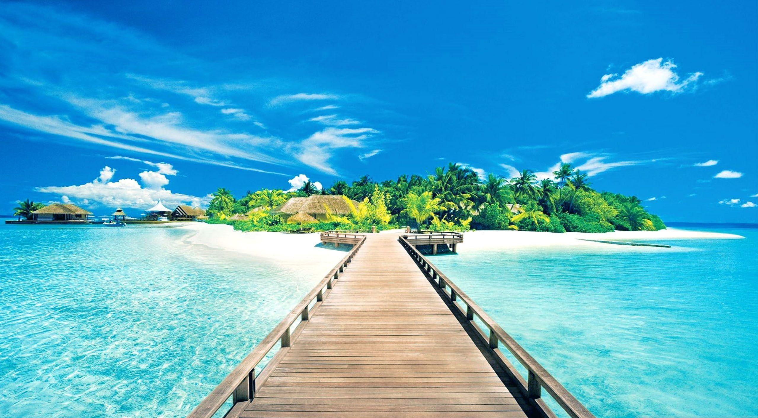 2558x1411 Summertime Desktop Wallpaper