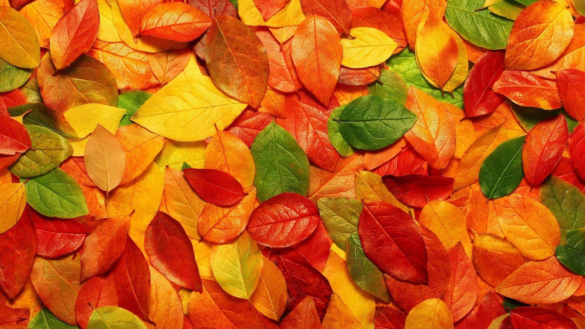 1920x1080 Colorful HD Background
