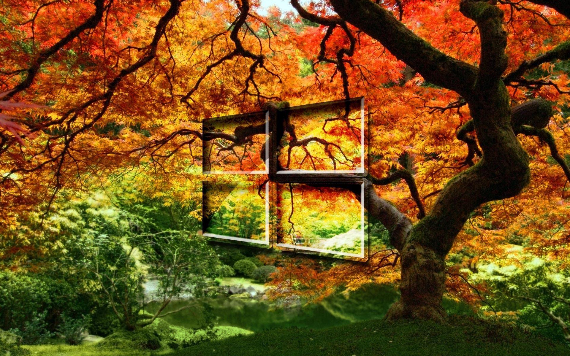 1920x1200 Windows 10 on the orange tree simple glass logo wallpaper