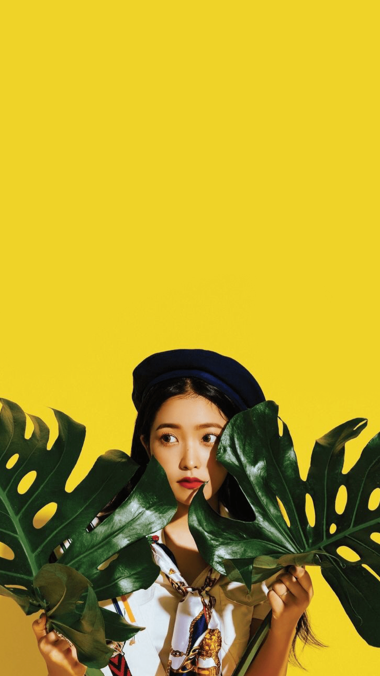 1242x2208 