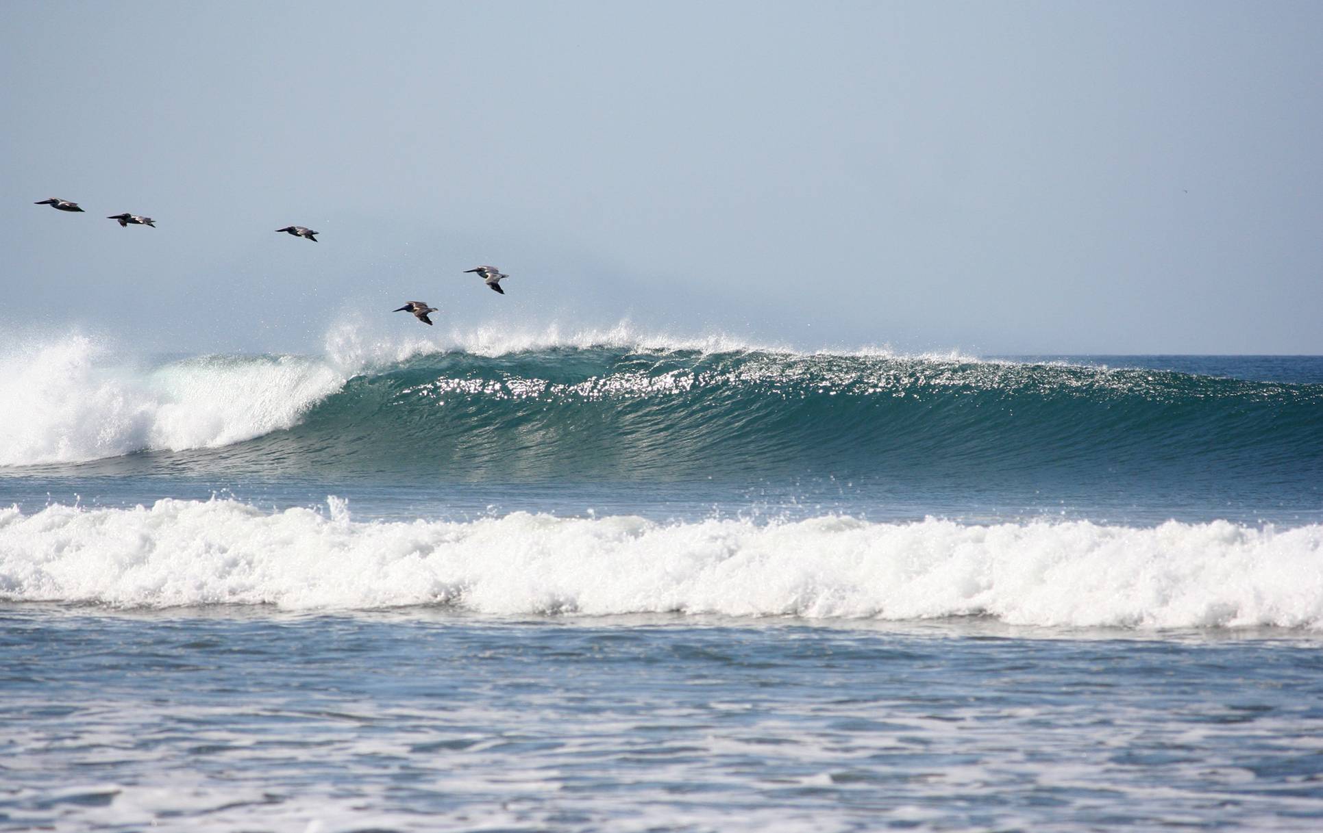 1931x1217 Surfing Desktop Background 1931x