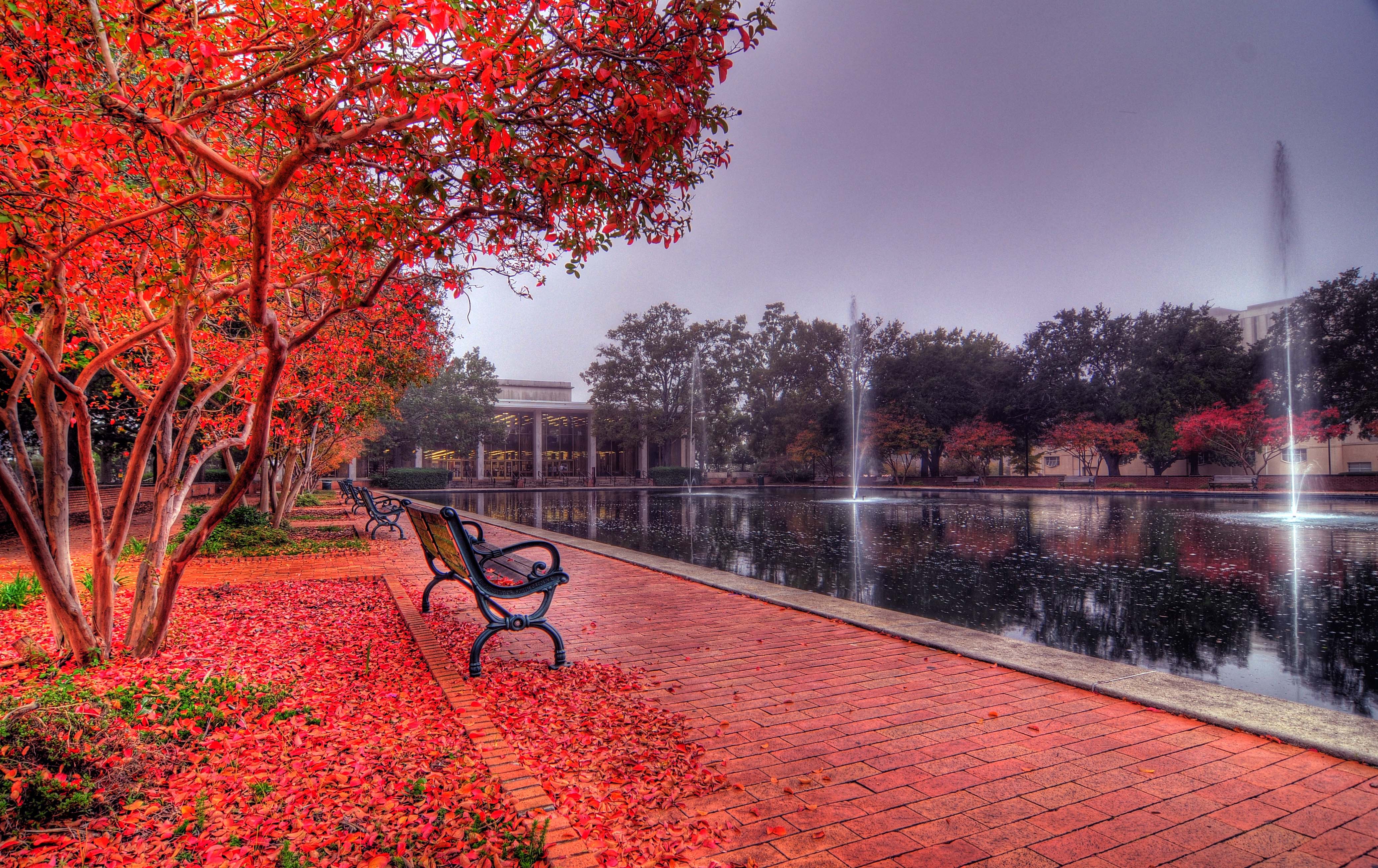 4153x2617 The Awe Of Autumn Wallpaper