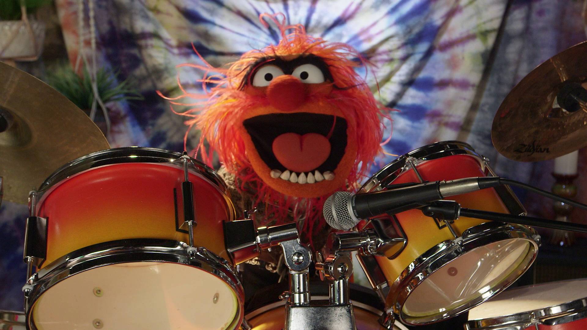 Electric Mayhem Wallpapers Top Free Electric Mayhem Backgrounds