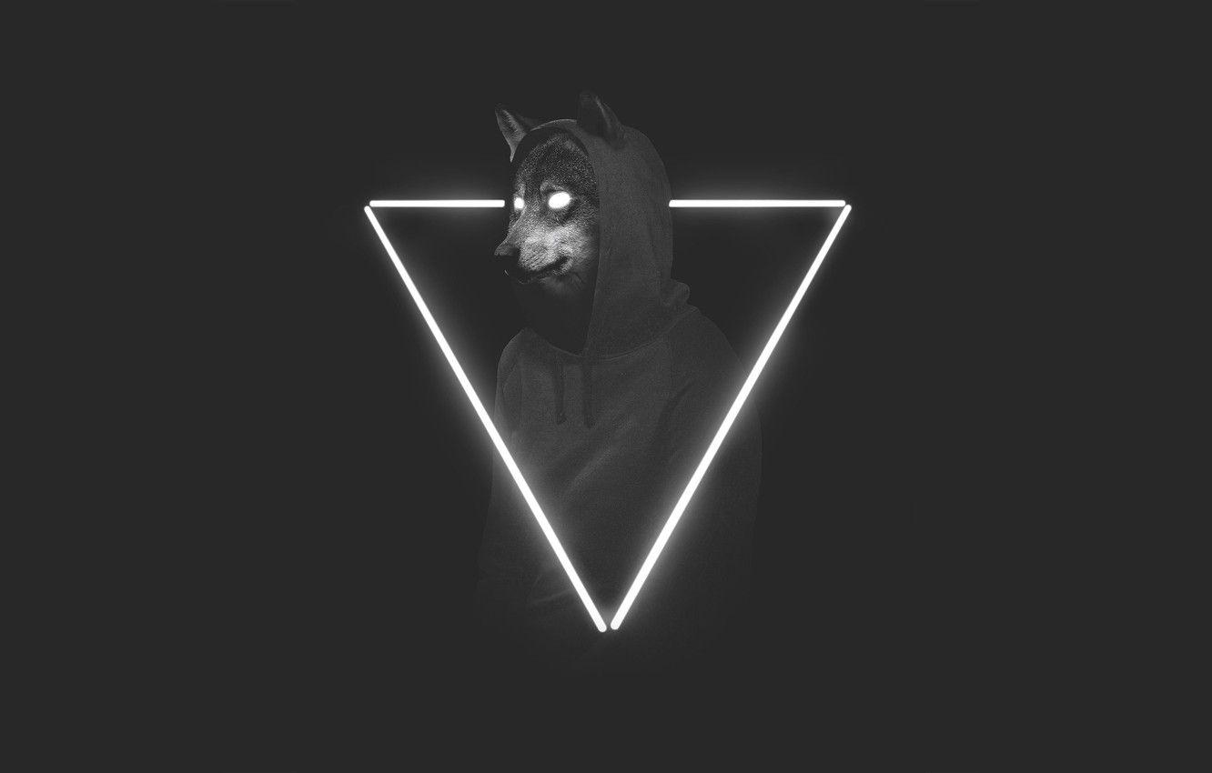 1332x850 Wallpaper Minimalism, Style, Background, Wolf, Face, Triangle
