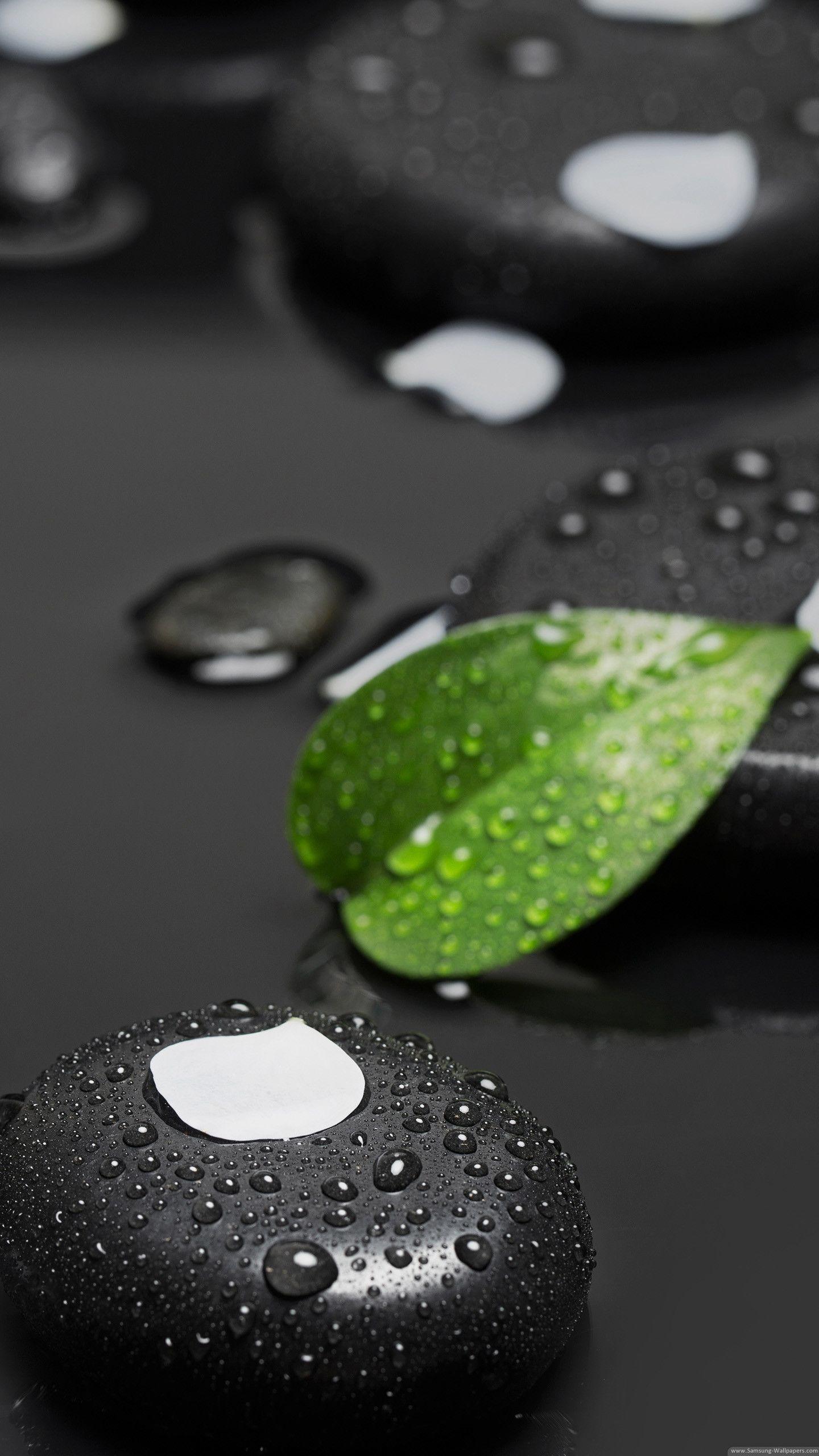 1440x2560 Drops Leaf Desktop Stock Samsung Galaxy Note 5 Wallpaper