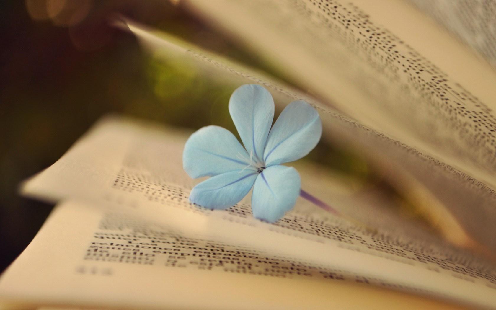 1680x1050 Book Pages Wallpaper 43883 1680x1050px