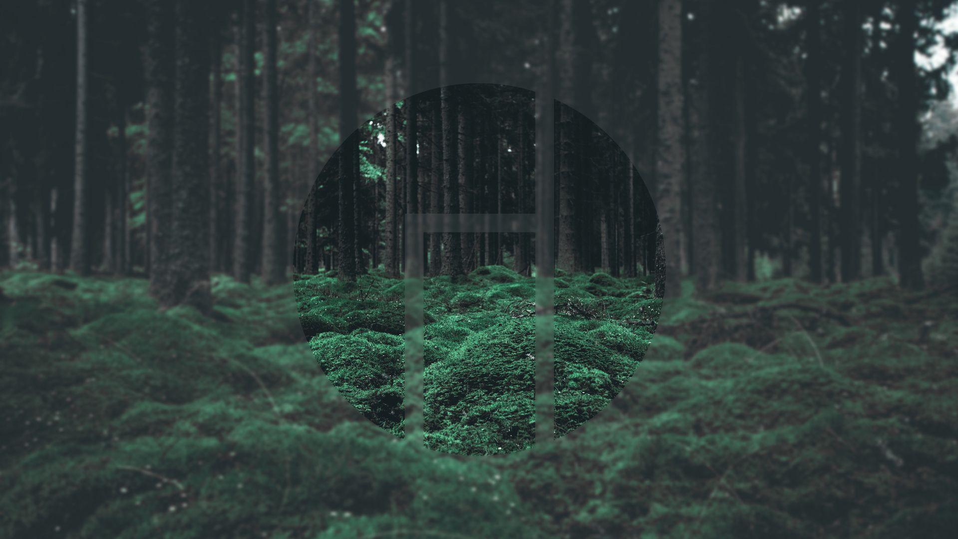 Gray Forest Wallpapers Top Free Gray Forest Backgrounds WallpaperAccess