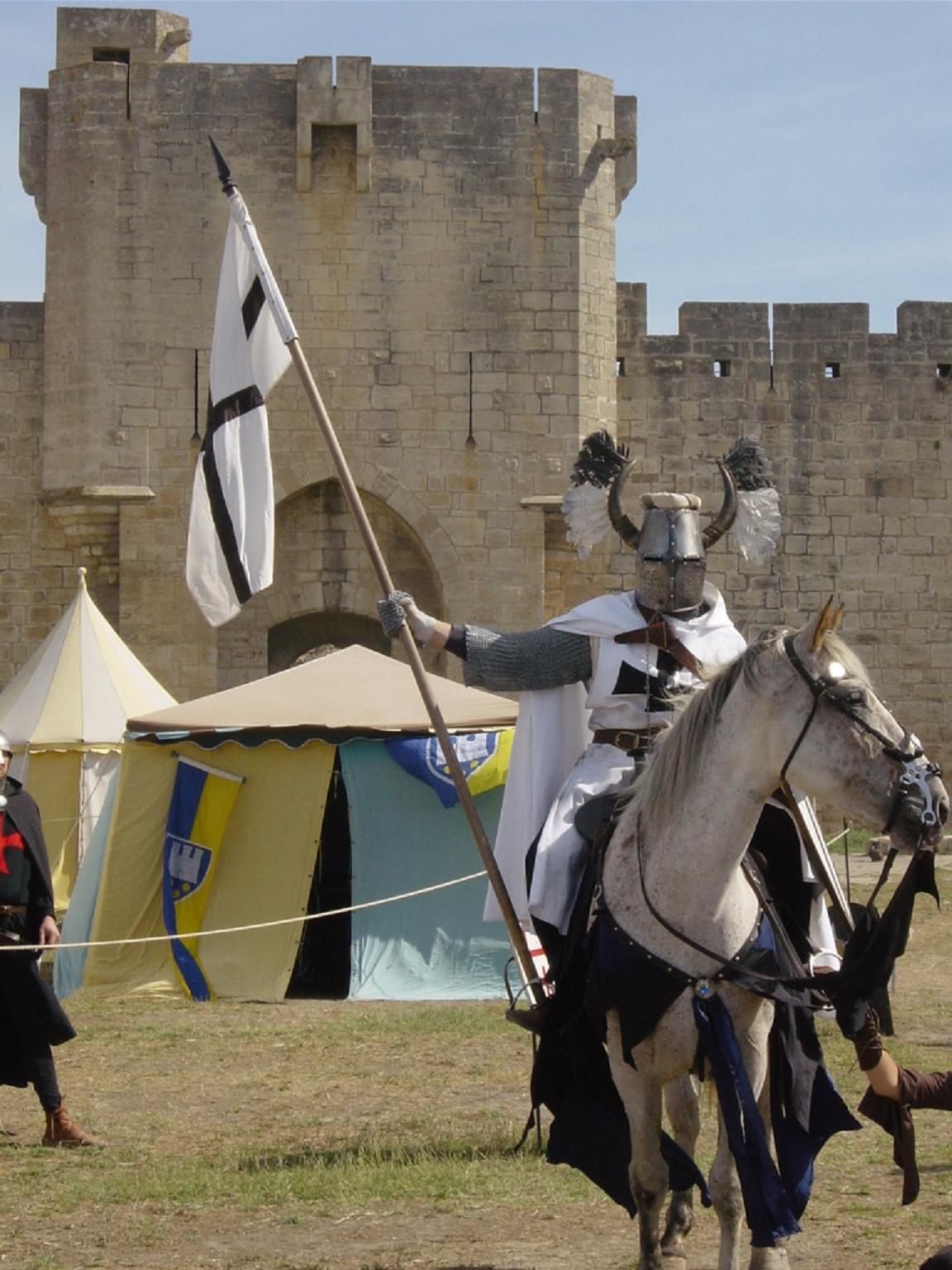 1152x1536 Parade Teutonic Knight By Chavi Dragon
